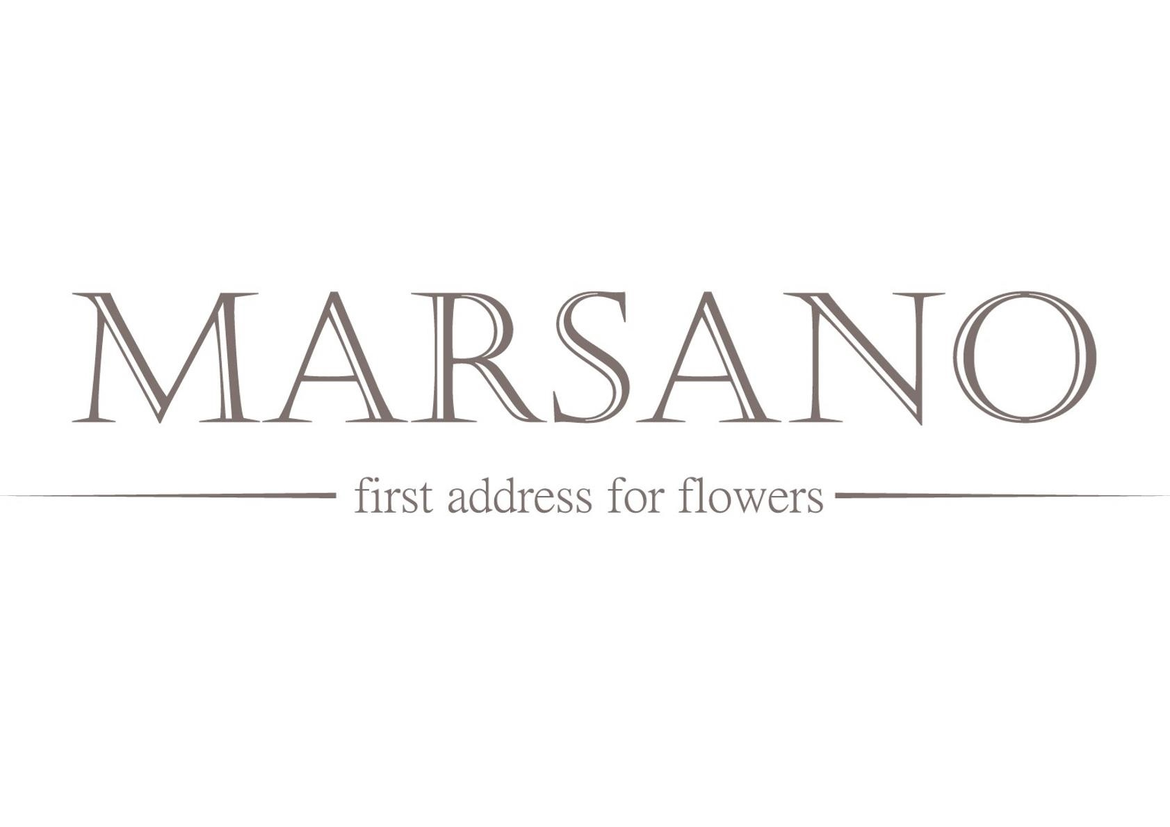 Logo Marsano